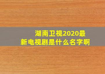 湖南卫视2020最新电视剧是什么名字啊