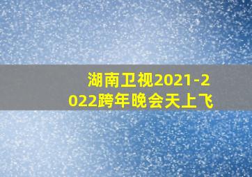 湖南卫视2021-2022跨年晚会天上飞