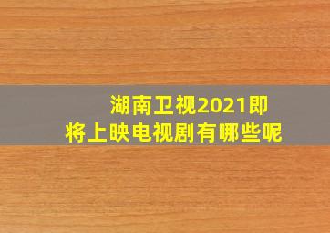 湖南卫视2021即将上映电视剧有哪些呢