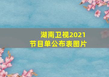 湖南卫视2021节目单公布表图片