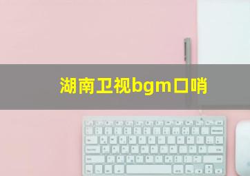 湖南卫视bgm口哨