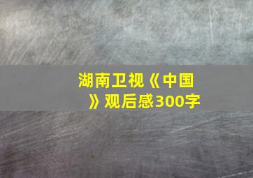 湖南卫视《中国》观后感300字