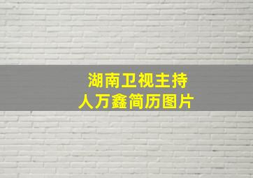 湖南卫视主持人万鑫简历图片