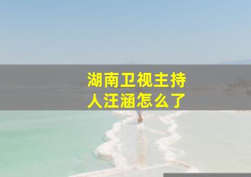 湖南卫视主持人汪涵怎么了