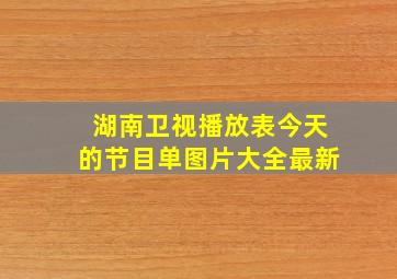 湖南卫视播放表今天的节目单图片大全最新