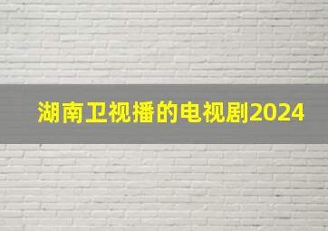 湖南卫视播的电视剧2024