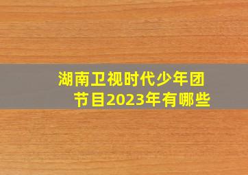 湖南卫视时代少年团节目2023年有哪些