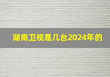 湖南卫视是几台2024年的