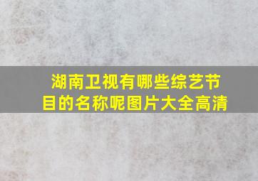 湖南卫视有哪些综艺节目的名称呢图片大全高清