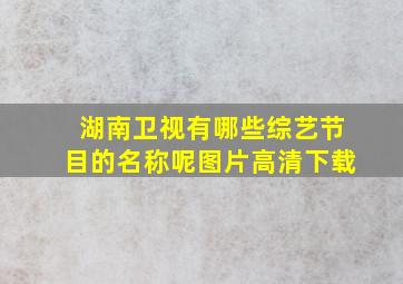 湖南卫视有哪些综艺节目的名称呢图片高清下载