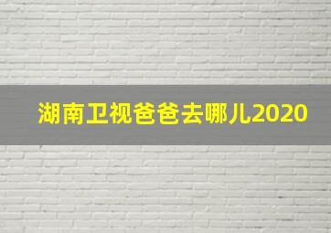 湖南卫视爸爸去哪儿2020