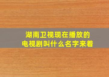 湖南卫视现在播放的电视剧叫什么名字来着