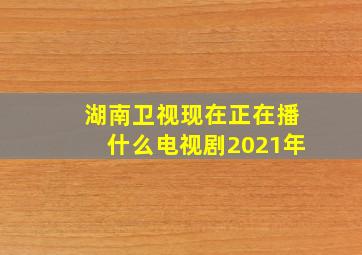 湖南卫视现在正在播什么电视剧2021年