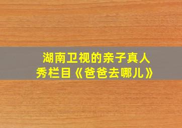 湖南卫视的亲子真人秀栏目《爸爸去哪儿》