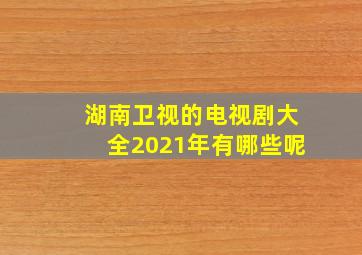 湖南卫视的电视剧大全2021年有哪些呢