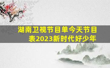 湖南卫视节目单今天节目表2023新时代好少年