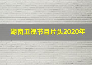 湖南卫视节目片头2020年