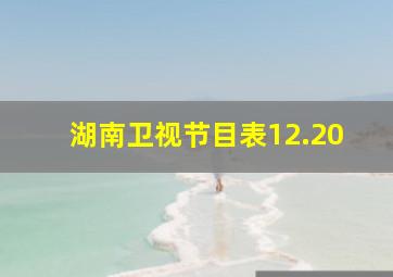 湖南卫视节目表12.20