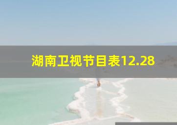 湖南卫视节目表12.28