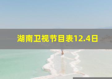 湖南卫视节目表12.4日