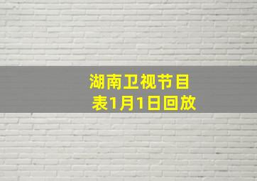 湖南卫视节目表1月1日回放