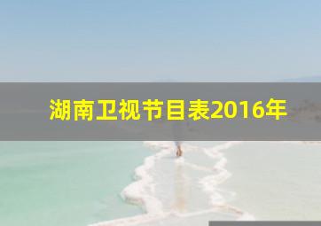 湖南卫视节目表2016年