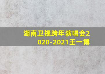 湖南卫视跨年演唱会2020-2021王一博