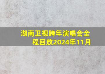 湖南卫视跨年演唱会全程回放2024年11月