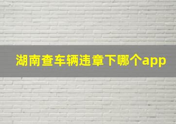 湖南查车辆违章下哪个app