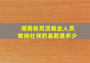 湖南省灵活就业人员缴纳社保的基数是多少