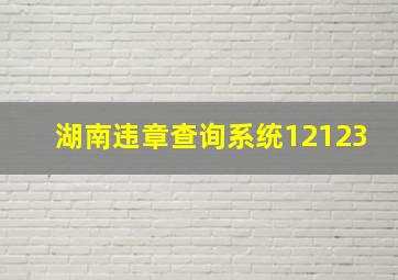 湖南违章查询系统12123