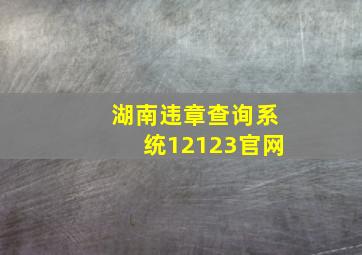 湖南违章查询系统12123官网