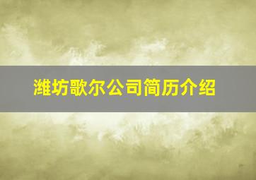 潍坊歌尔公司简历介绍