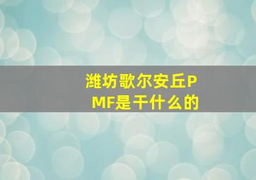 潍坊歌尔安丘PMF是干什么的