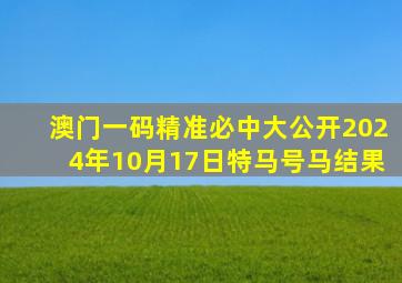 澳门一码精准必中大公开2024年10月17日特马号马结果