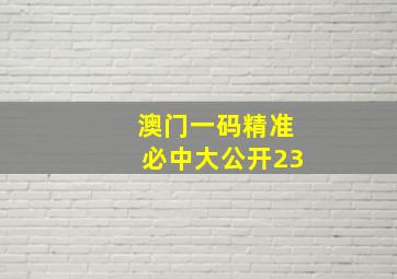 澳门一码精准必中大公开23