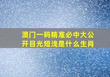 澳门一码精准必中大公开目光短浅是什么生肖