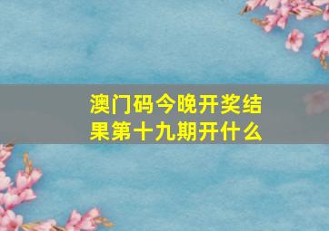 澳门码今晚开奖结果第十九期开什么