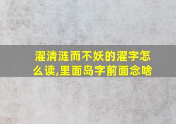 濯清涟而不妖的濯字怎么读,里面岛字前面念啥