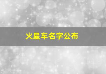 火星车名字公布