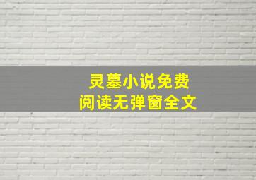 灵墓小说免费阅读无弹窗全文