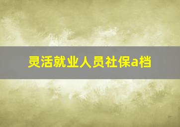 灵活就业人员社保a档