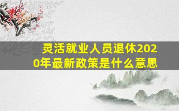 灵活就业人员退休2020年最新政策是什么意思