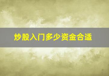 炒股入门多少资金合适