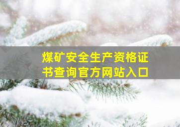 煤矿安全生产资格证书查询官方网站入口