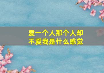 爱一个人那个人却不爱我是什么感觉