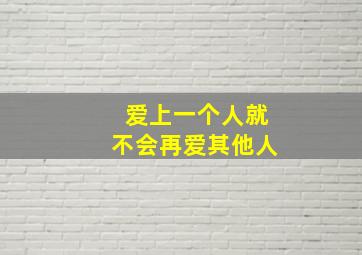 爱上一个人就不会再爱其他人