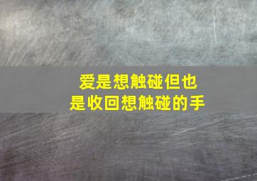 爱是想触碰但也是收回想触碰的手