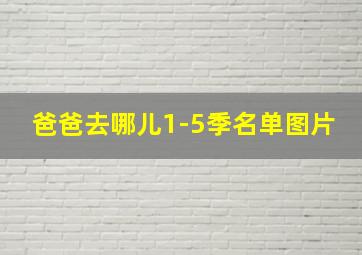 爸爸去哪儿1-5季名单图片