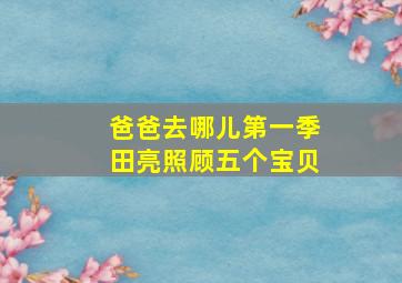 爸爸去哪儿第一季田亮照顾五个宝贝